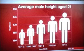 average male height