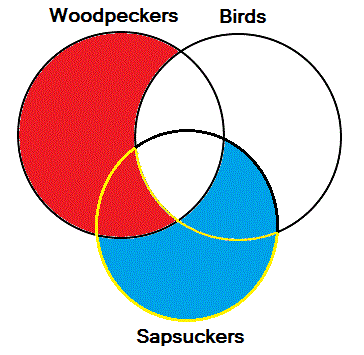 Categorical syllogism