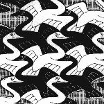 Escher swans detail