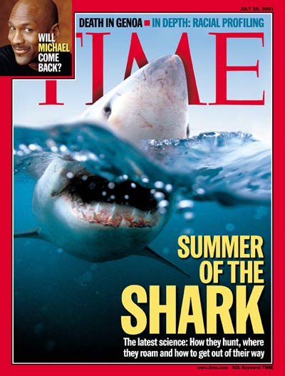 Summer of the Shark