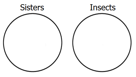Nobody's sister has six legs.