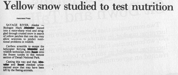 Yellow snow studied to test nutrition